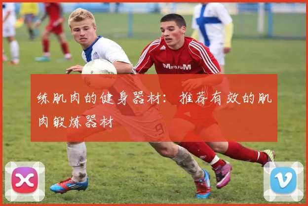 练肌肉的健身器材：推荐有效的肌肉锻炼器材