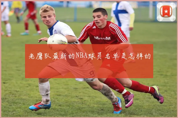 老鹰队最新的NBA球员名单是怎样的